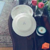 بشقاب خورش خوری آرکاپول ویکتوریا پشت فیل آبی
