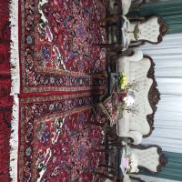 یه جفت فرش هریس