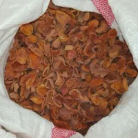 برگه زردآلو