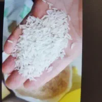 برنج فجر محلی