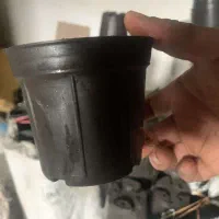 ۶۰۰ عدد گلدان نشایی سایز ۱۴ نو