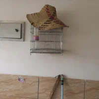قفس|لوازم جانبی حیوانات|شیراز, رکنآباد|دیوار