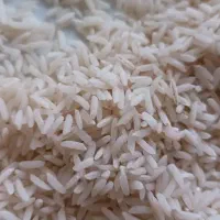 برنج مجلسی اعلا هاشمی