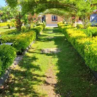 اجاره روزانه ویلاباغ رُز در ماسال
