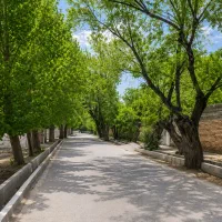 با-600-میلیون-صاحب-باغ-انگور-شو-172-متر