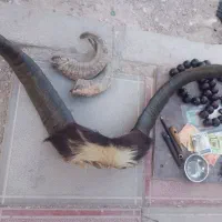 شاخ
