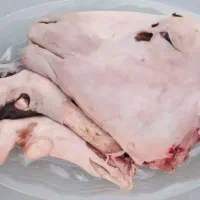 کله و پاچه