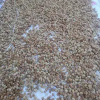 توت خشک اقتصادی