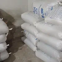 عدس خوش پخت امسال