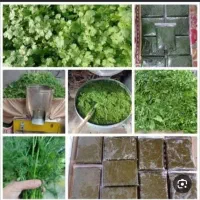 سبزی خورشتی