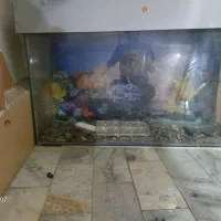 اکواذیوم با میز