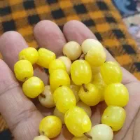 ۳۴عددمهره کهنه زردیون