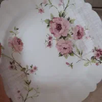 سرویس غذا خوری