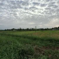 فروش-شالیزار-5600-متری-در-یکی-از-روستاهای-شفت