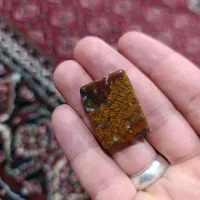 سنگ شجر پایزه معدنی معدنی معاوزه دارم