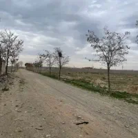 زمین 500متردو بهر عرب آباد خسروی