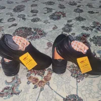 کفش راحتی و روزمره