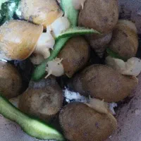 بچه حلزون فقط ۵۰هزار تومن
