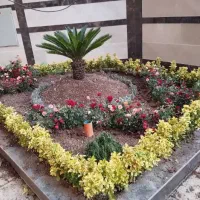 خدمات باغبانی باغچه کاری کاشت گل و گیاه خاک گلدون