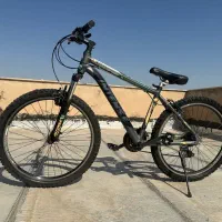 دوچرخه اینتنس