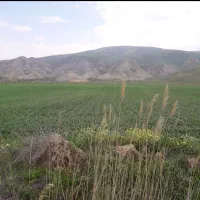 یک قطعه