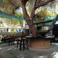 قلیان زن / سالنکار / کمک آشپز