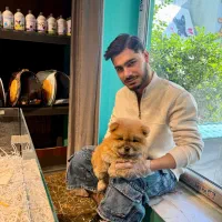 چاوچاو پرتغال کوچولو