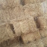 کاه و یونجه