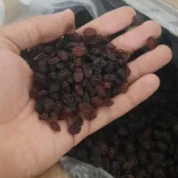 کشمش پاک شده تک سالار ملکان