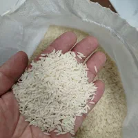 برنج هاشمی طارم