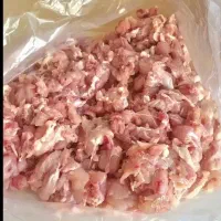 بچه فیله