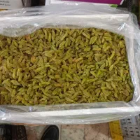 کشمش سبز