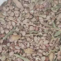 لوبیا|لوازم جانبی حیوانات|شاهین‌شهر, گرگاب|دیوار