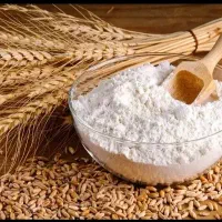 ارد گندم کیسه ۴۰کیلویی
