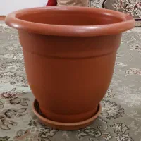 گلدان پلاستیکی
