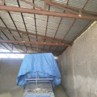 کاه گندم خوشه دار درجه یک تحویلی