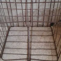 فرغون، سبد آجر و استانبولی