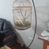 قفس وپایه