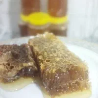 عسل ارگانیک