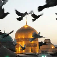 تور زیارتی مشهد با بهترین کیفت ویژه ایام عادی