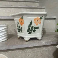 جاگلدونی چینی