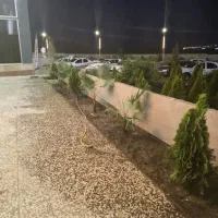 نیازمند نگهبان