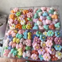 شغل‌خانگی برای‌خانم‌ها