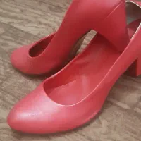 کفش مجلسی سرخابی
