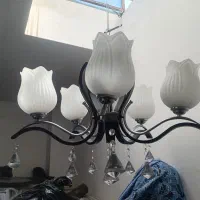 لوستر
