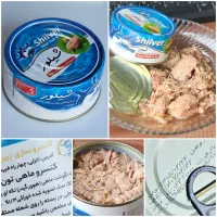 تن ماهی شیلور 180 گرمی هوور