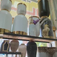 آنتیک نهال لوکس درخت خاص گلدان جدید نخل گل گیاه تک