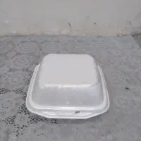 یکبار مصرف