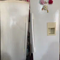 یخچال دو قلو الکترو‌ استیل