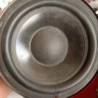 ۸ عدد بلگو سالم باند خانگی